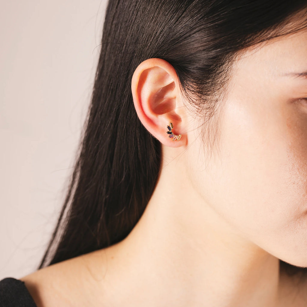 Simple Winged Earrings Earrings Ecuyeres   